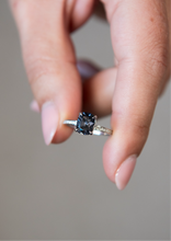 Pave Solitaire | Grey Spinel