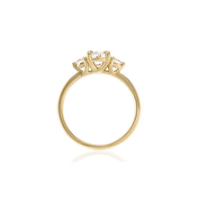 Signature Trilogy | Oval