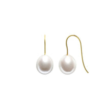 Archi Hook Earrings