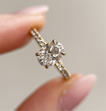 Signature Solitaire | Oval Hidden Halo