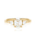 Signature Trilogy | Oval