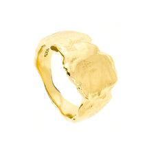 Relic | Shipwreck Ring