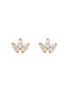 Lotus Studs